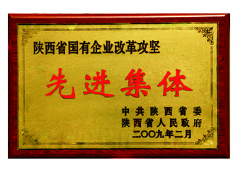 2009年获得“陕西省国有企业改革攻坚先进集体”称号