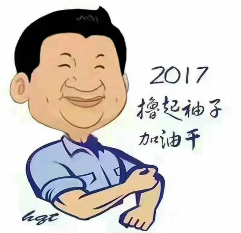 2017年，“大家撸起袖子加油干”！