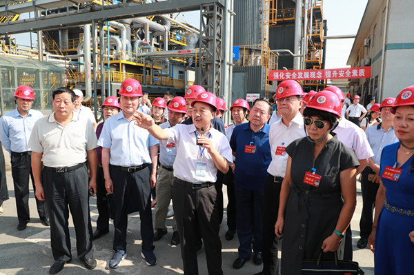 在陕全国人大代表到新型能源咸阳热能公司调研锅炉超低排放改造项目