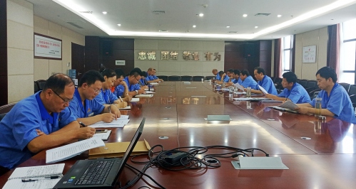 公司党委研究安排部署省委巡视反馈意见整改工作